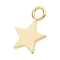 14Kt Yellow Gold Star Charm