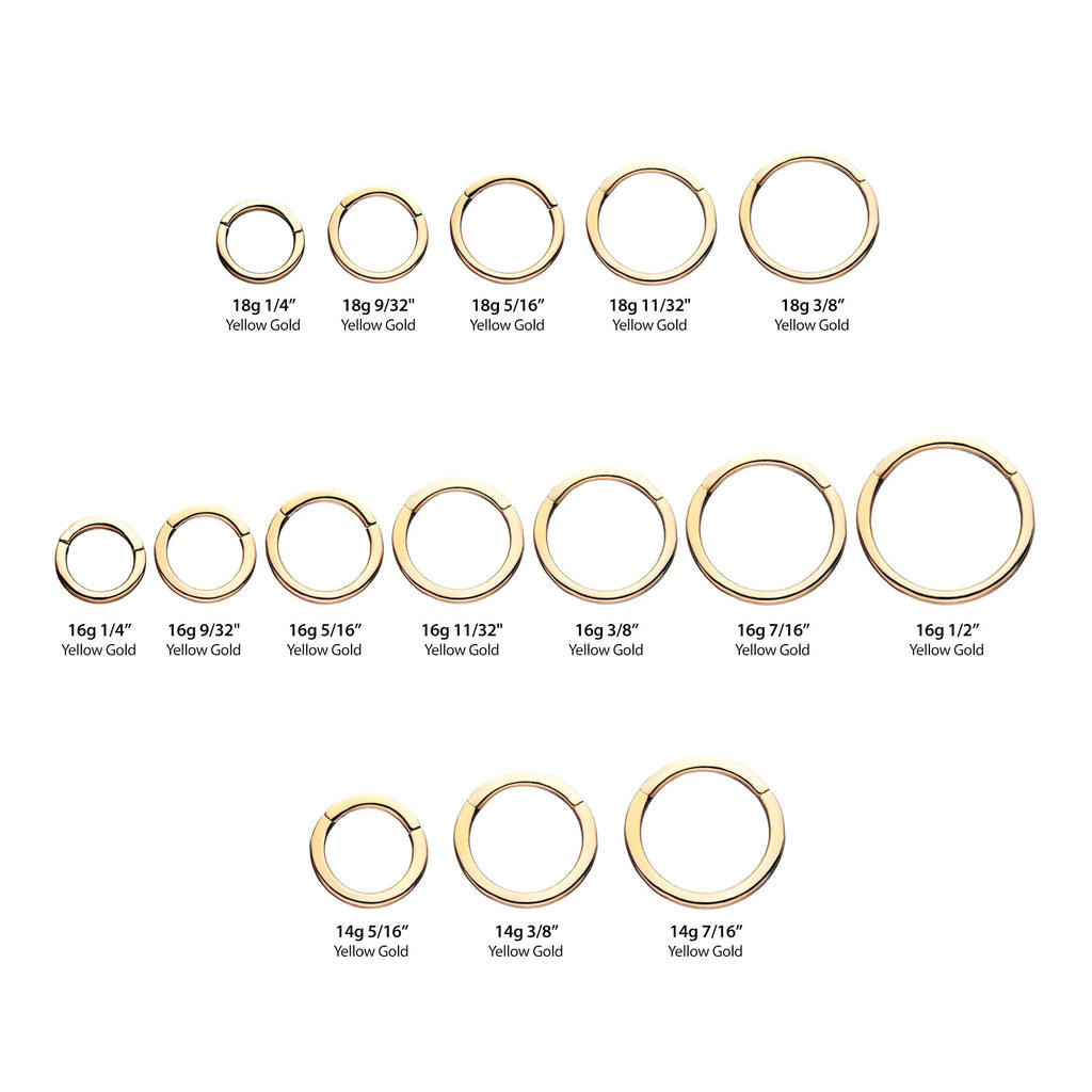 14Kt Yellow Gold Basic Hinged Segment Clicker