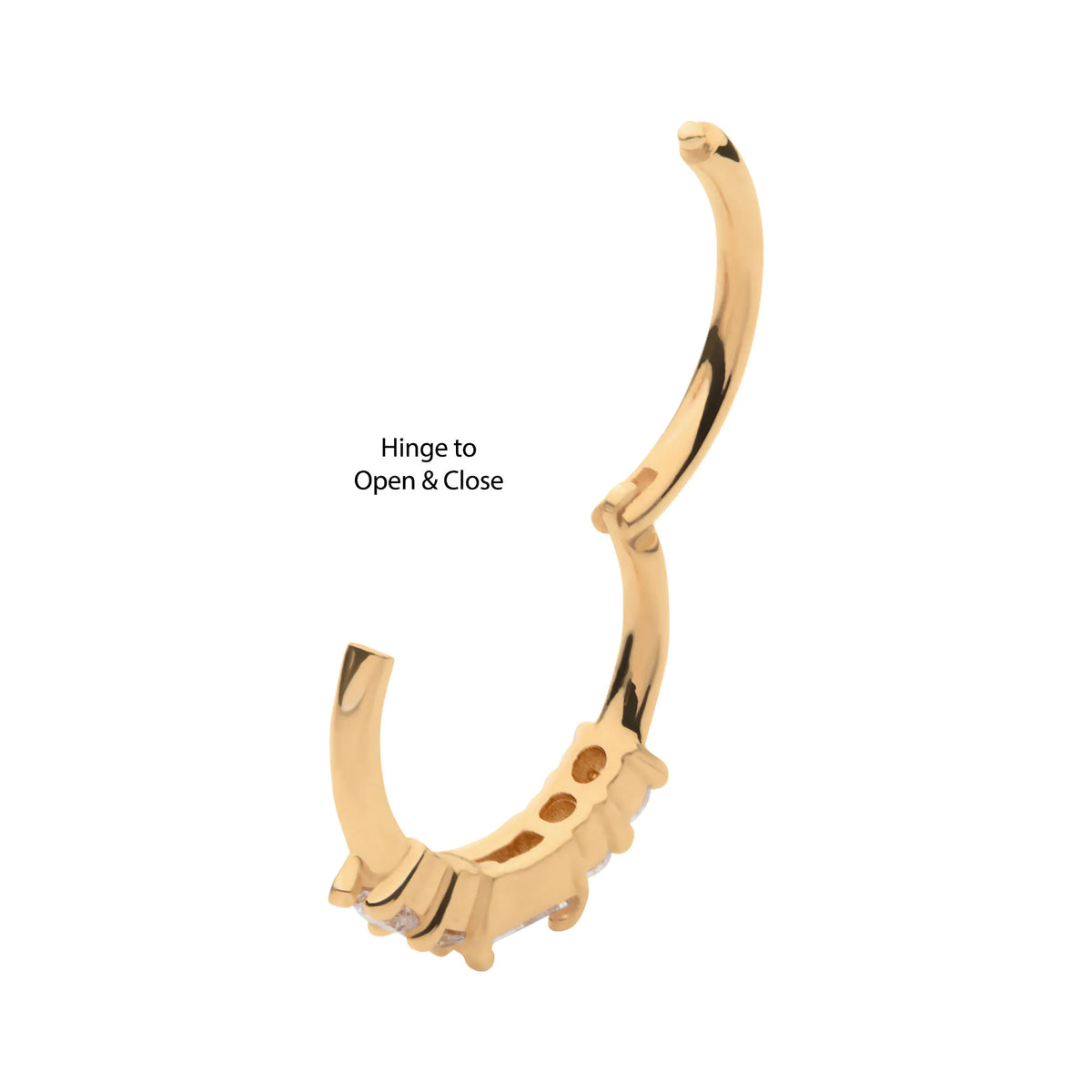 14Kt Yellow Gold with 5-Cluster Prong Set Baguette & Round Clear CZ Side Facing Hinged Segment Clicker