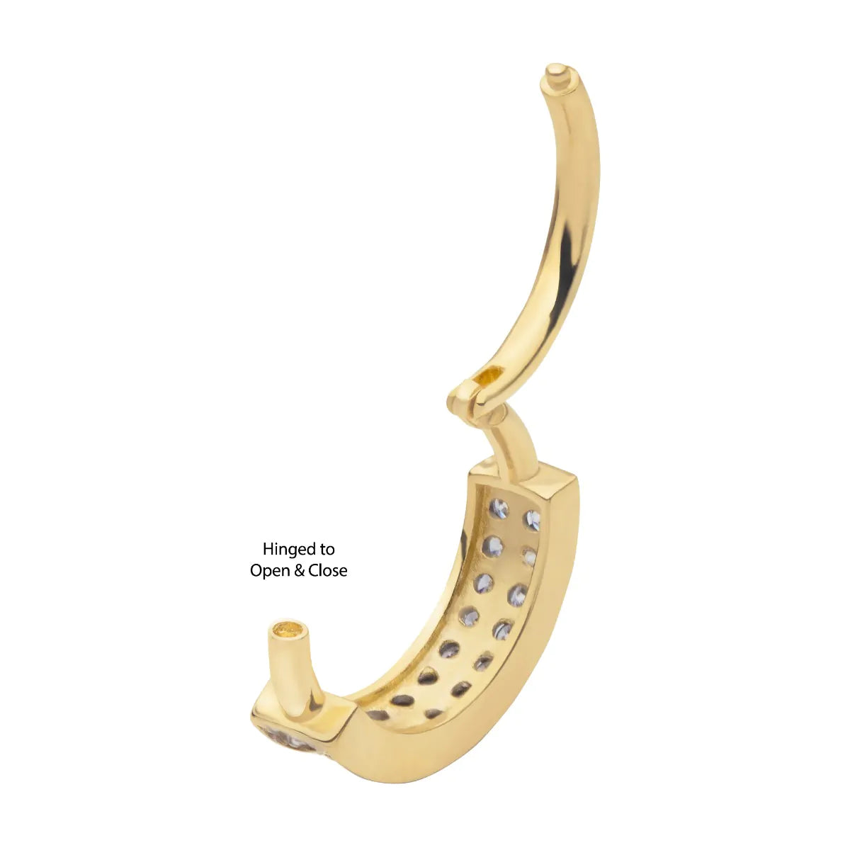 14Kt Yellow Gold with Double Row Clustered Prong Set Clear CZ Side Facing Hinged Segment Clicker