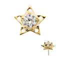 14Kt Yellow Gold Threadless Star Top with Prong Set CZ/Opal