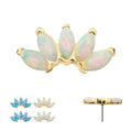 14Kt Gold Threadless Fan Shape Top with 5-Cluster Marquise Prong Opal
