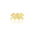 Aquarius