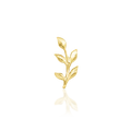 Aspen