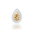 Avani