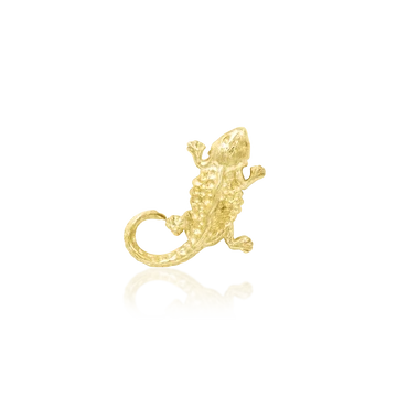 B-Dragon