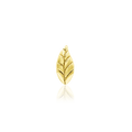 Bay Leaf