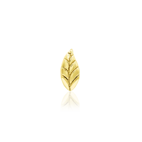 Bay Leaf