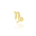 Capricorn