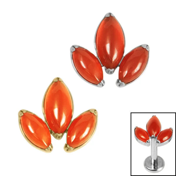Titanium Internal Claw Set Carnelian Marquise Stone Leaves Trio Top