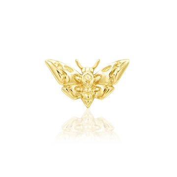 Deaths-head Moth