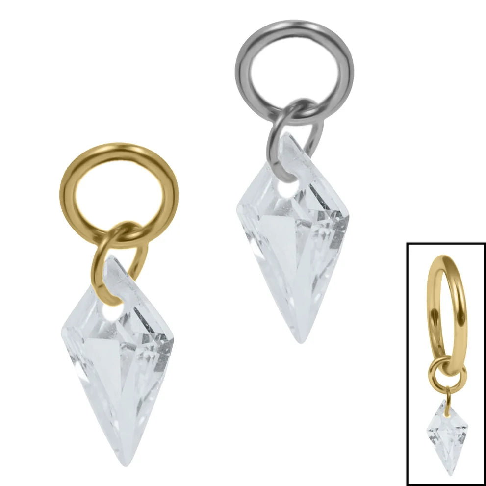 Titanium Delphi Jewelled Charm