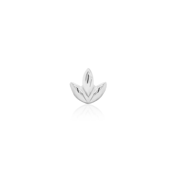 Dr. Bloom