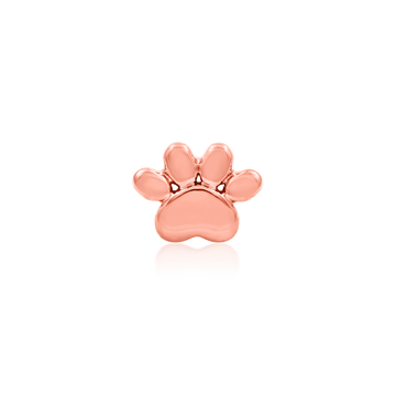 Gold Dog Paw