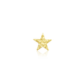 Hammered Star