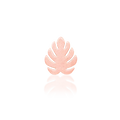 Monstera