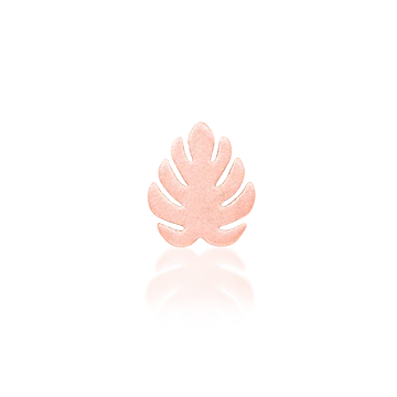 Monstera