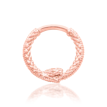 Ouroboros
