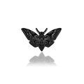 Scene Deaths-Head Moth