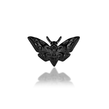 Scene Deaths-Head Moth