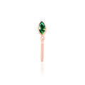 Takari