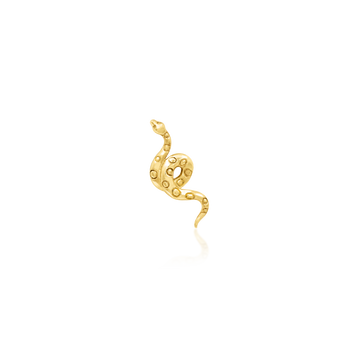 Textured Snake