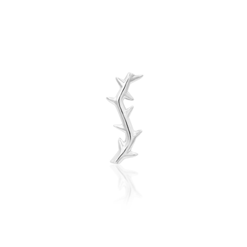 Thorn