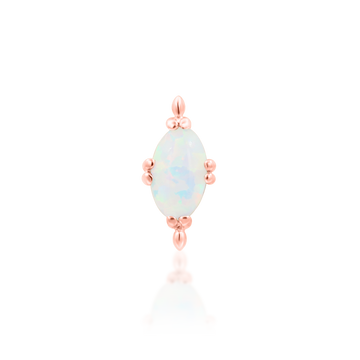 Xara