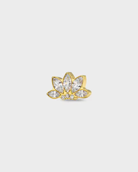 "ARLA" | TITANIUM | 24k GOLD
