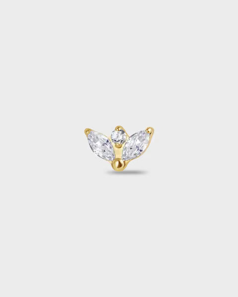 "KIVA" | TITANIUM | 24k GOLD