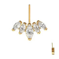 24Kt Gold PVD Titanium Threadless Vertical Helix V-Prong Marquise Fan 5-Cluster Top