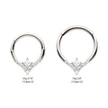 Titanium Clustered Prong Set Round CZ with Center Princess Gem Front Facing Hinged Segment Clicker