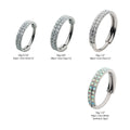 Titanium Double Row Prong Set Round CZ/Opal Side Facing Hinged Segment Clicker