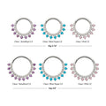 Titanium Double Row CZ Multi-Gem with Clear CNC Set Inner Gem Front Facing Hinged Segment Clicker