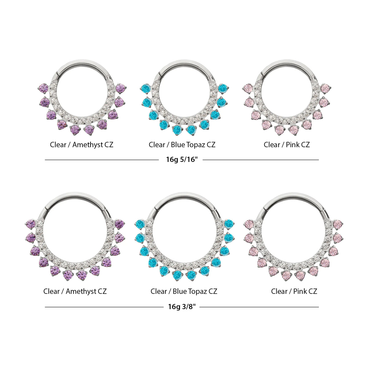 Titanium Double Row CZ Multi-Gem with Clear CNC Set Inner Gem Front Facing Hinged Segment Clicker