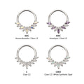 Titanium 9 Gem Marquise Cluster Front Facing Hinged Segment Clicker