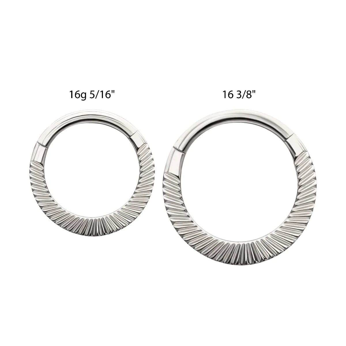 Titanium Radiant Hoop Front Facing Hinged Segment Clicker
