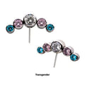 Titanium Threadless with Transgender Bezel Set CZ 5-Cluster Side Facing Top