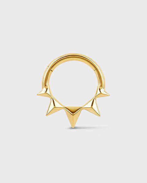 "VERA" | TITANIUM | 24k GOLD